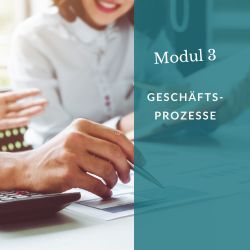 Modul 3: Geschäftsprozesse integrieren – Strukturen für nachhaltiges Wachstum