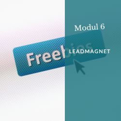 Modul 6: Leadmagnet – Wachse mit Strategie und echten Mehrwerten