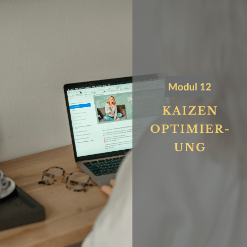 Modul 12: Kaizen – Veredle dein Business & entwickle dich zur echten Unternehmerin